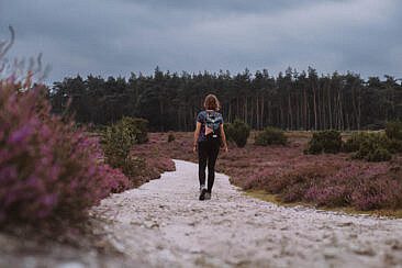 Wanderung Archemerberg Lemelerberg