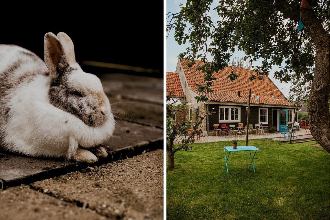 Fitou Goeree-Overflakkee