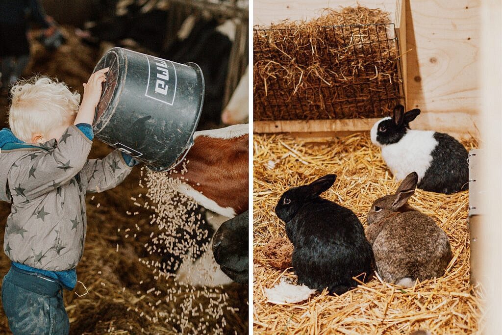 FarmCamps Bauernhofurlaub in den Niederlanden 20