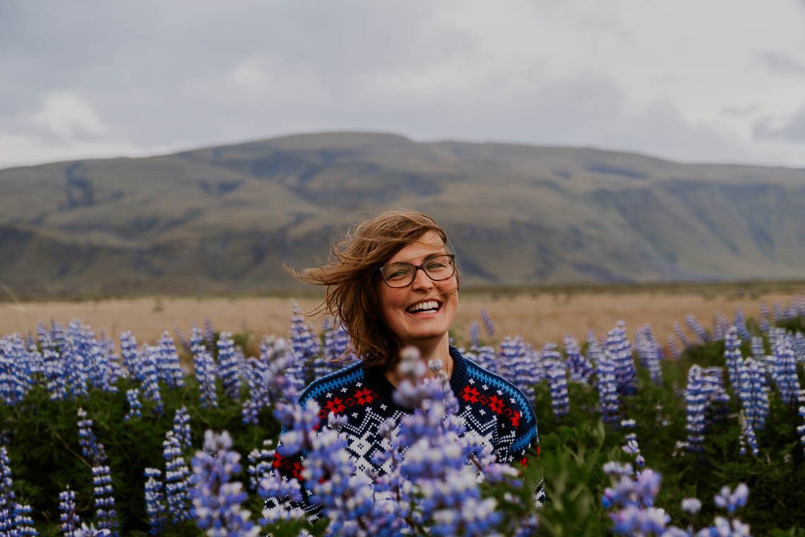 Island Rundreise Lupinen