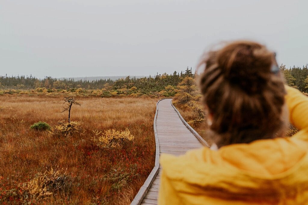 Bog Trail Cabot Trail Cape Breton 2