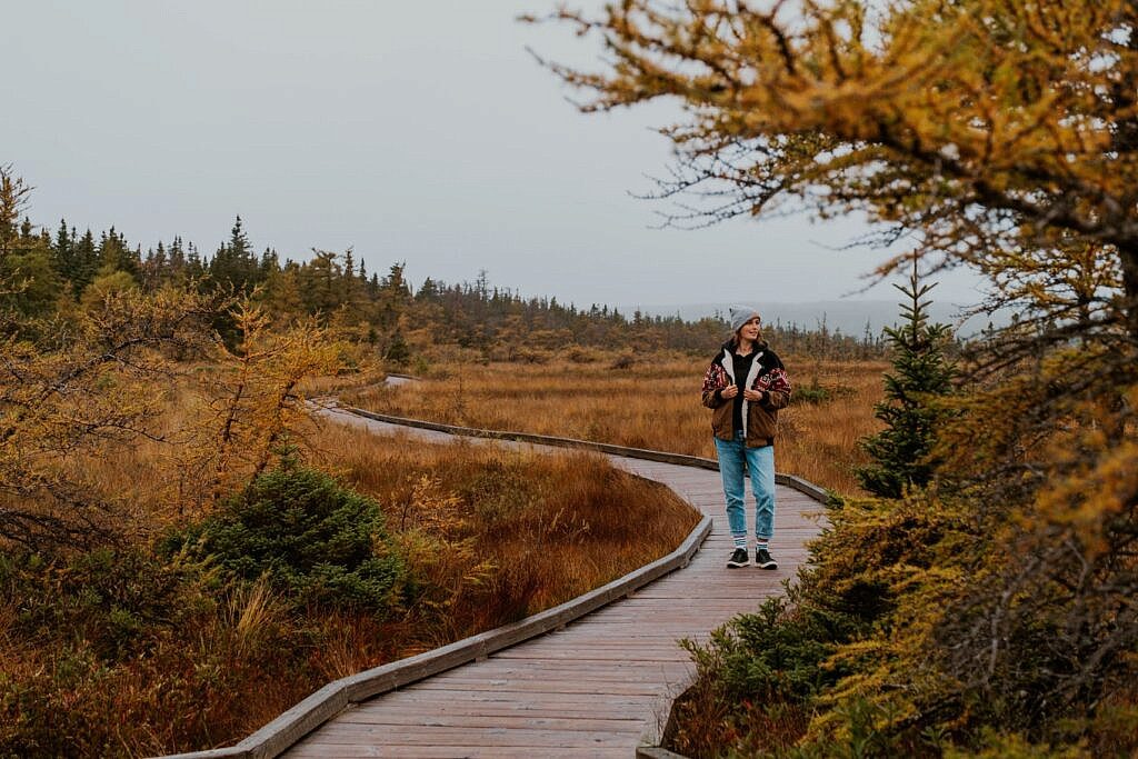 Bog Trail Cabot Trail Cape Breton 4