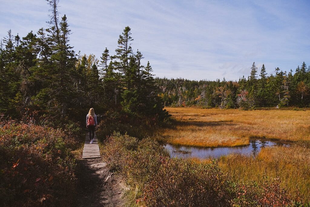 Franey Trail schönste Wanderung Nova Scotia 12