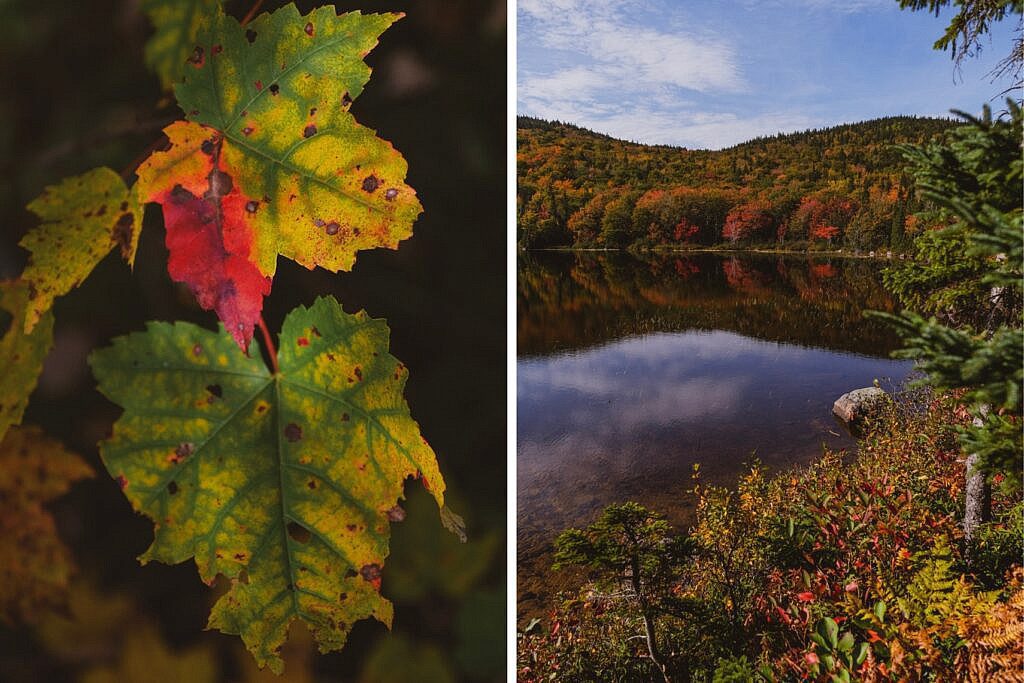 Franey Trail schönste Wanderung Nova Scotia 14