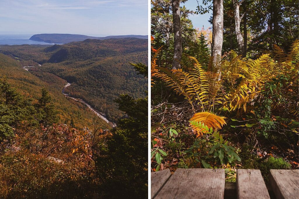 Franey Trail schönste Wanderung Nova Scotia 15