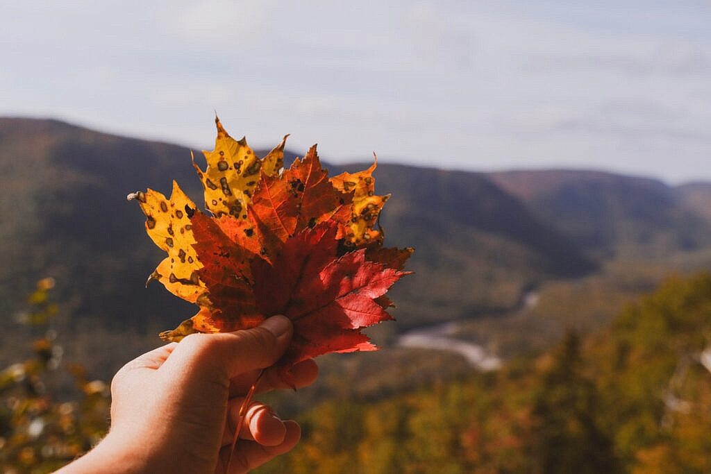 Cabot Trail Highlights Franey Trail