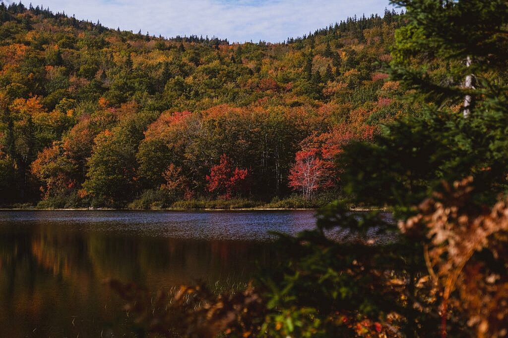 Franey Trail schönste Wanderung Nova Scotia 19