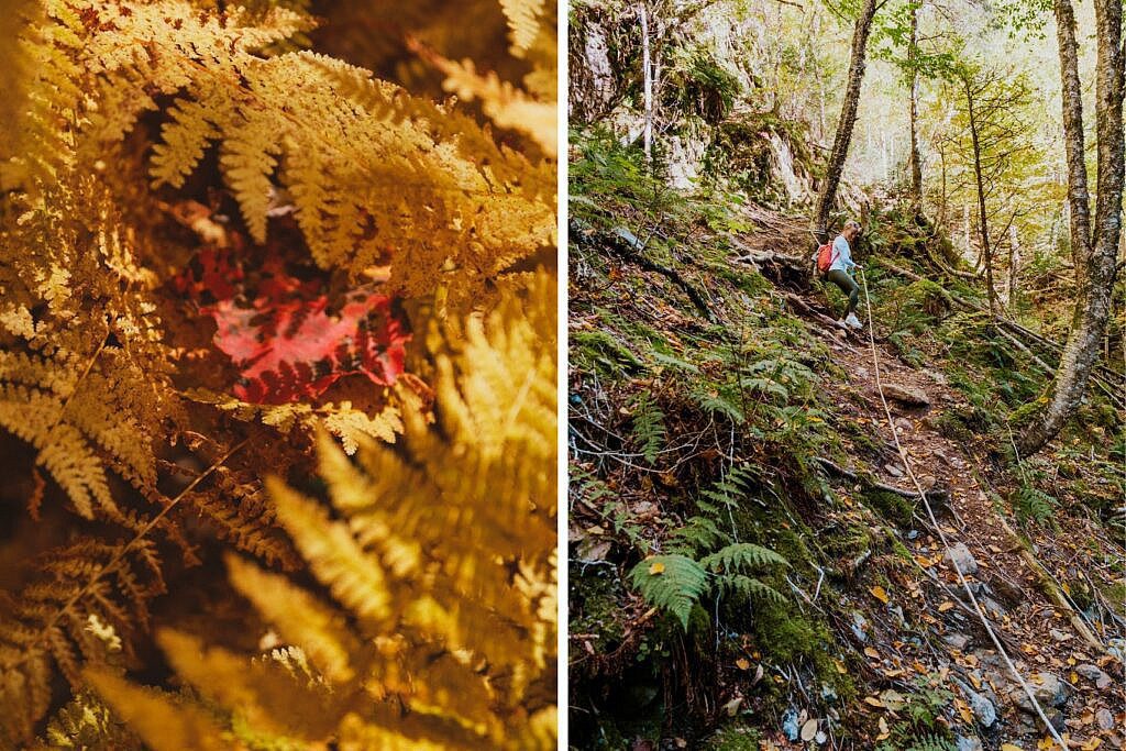 Gairloch Mountain Falls Trail schönste Wanderungen Nova Scotia Cabot Trail 3