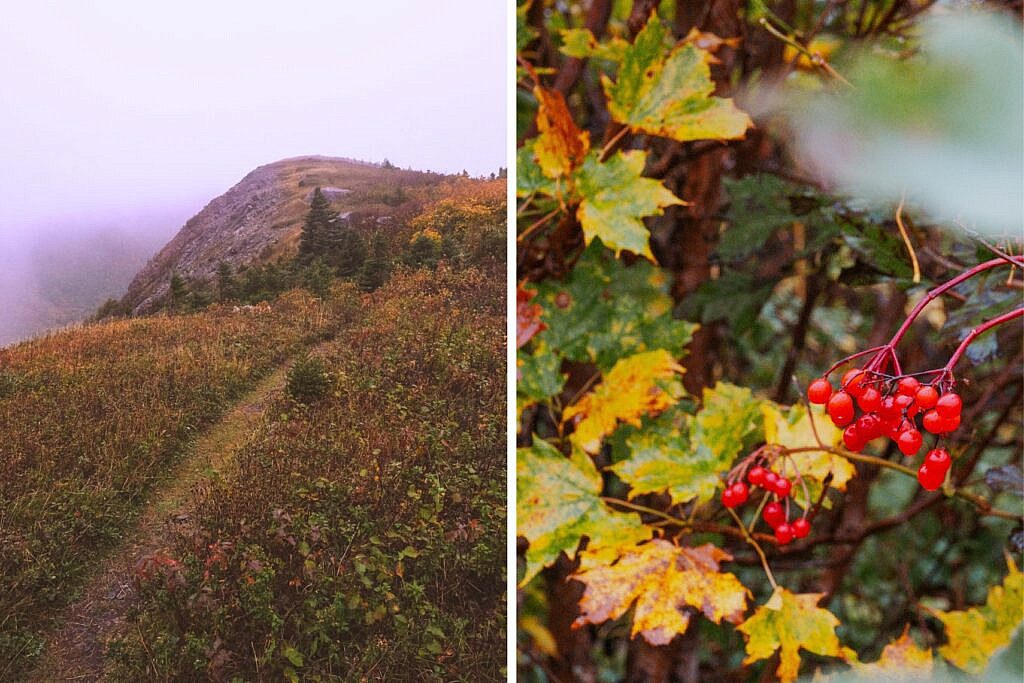 Meatcove Mountain Trail Nova Scotia schönste Wanderungen 2