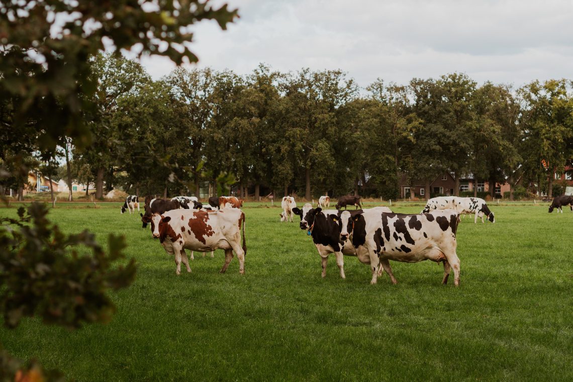Radtour Haaksbergen Aktivitäten1