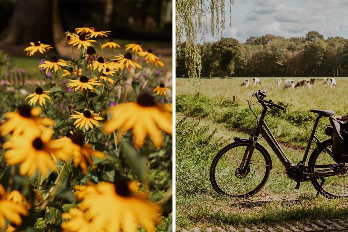 Radtour Haaksbergen Aktivitäten7