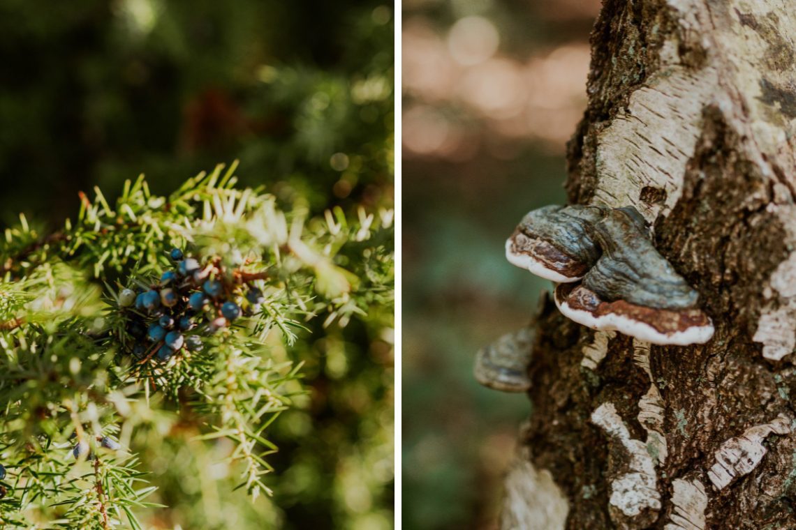 Wandern Buurserzand Haaksbergen Aktivitäten 1