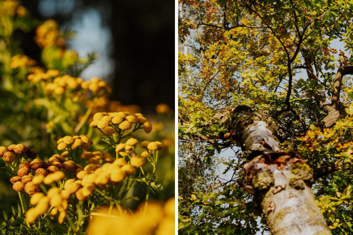 Wandern Buurserzand Haaksbergen Aktivitäten 5