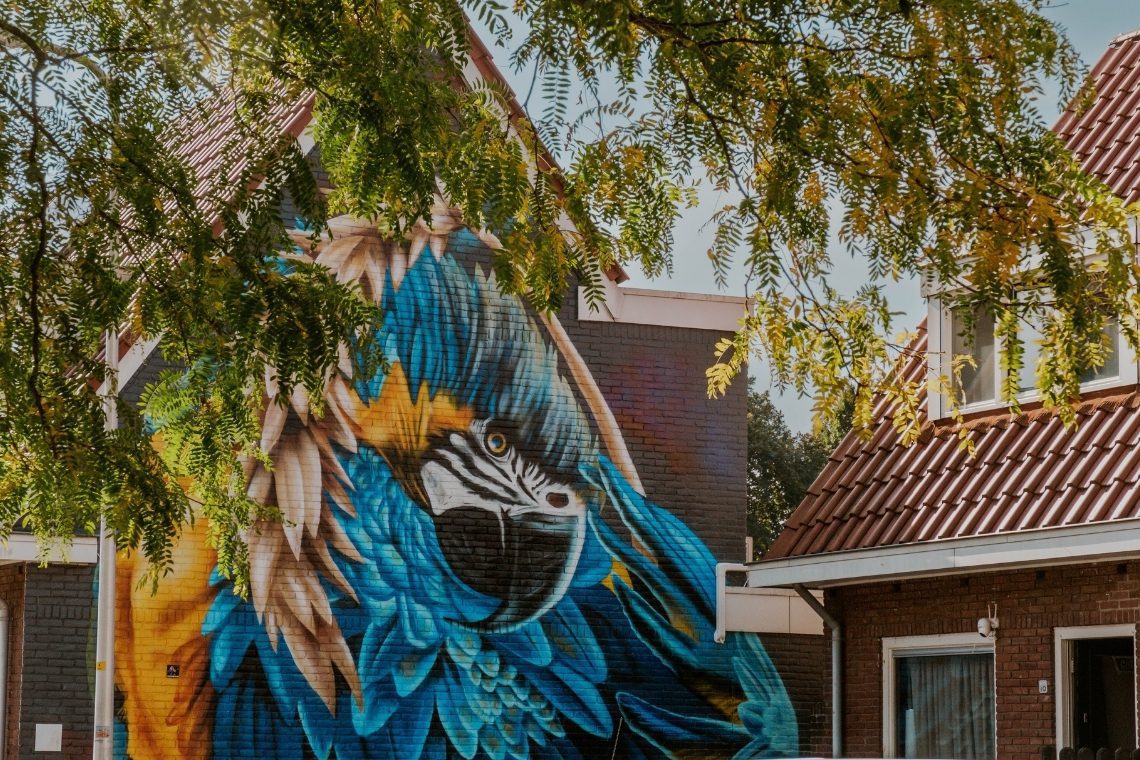 Street Art Deventer Route 5