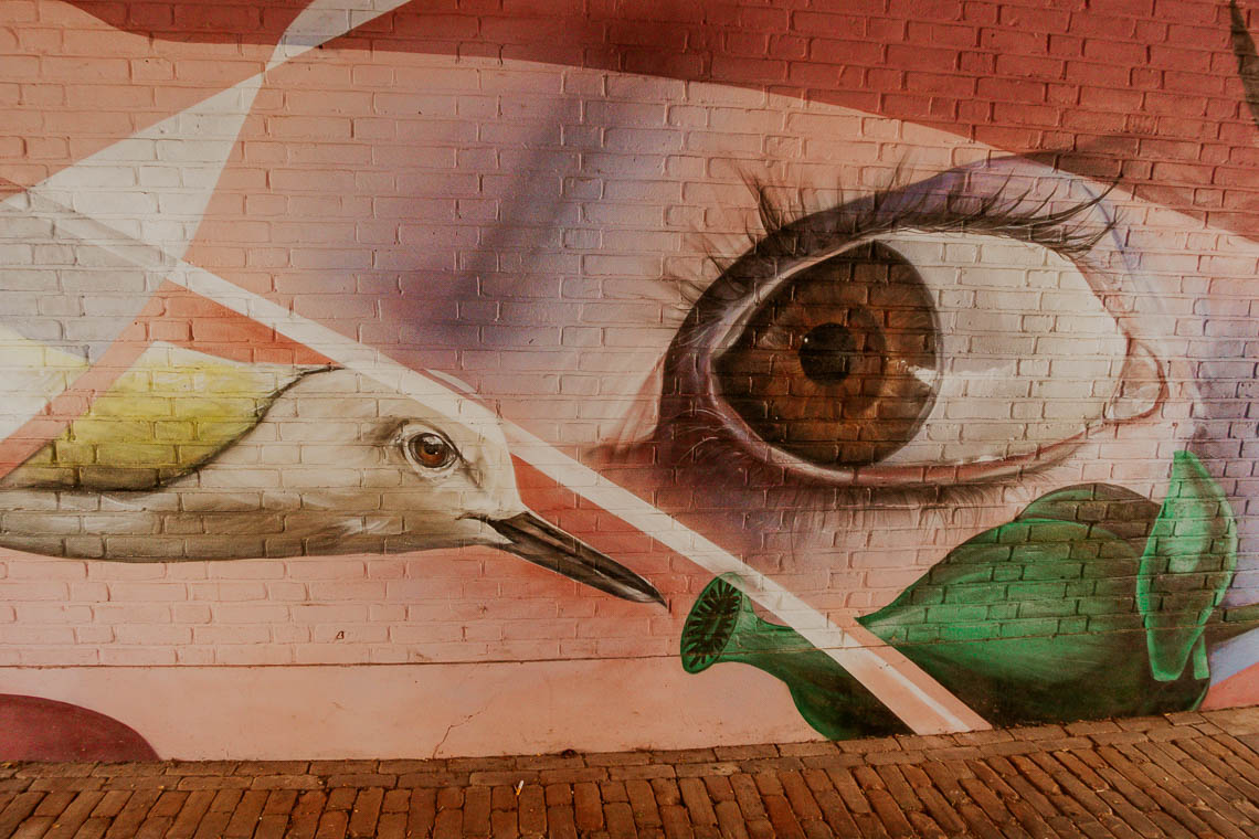 Street Art in Deventer