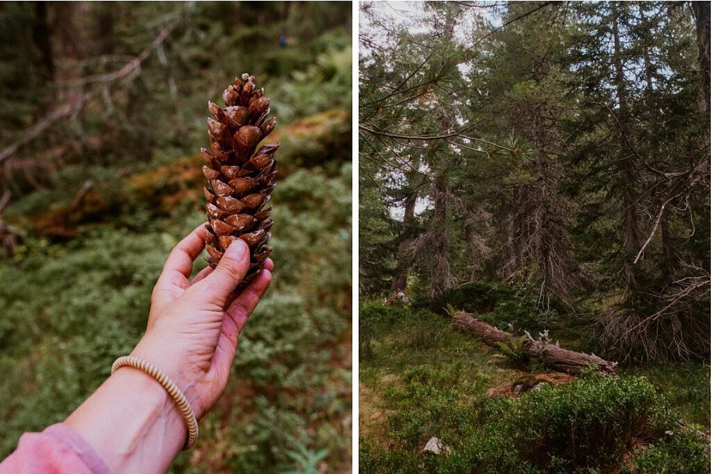 Dobërdol – Babino Polje – Plav 17
