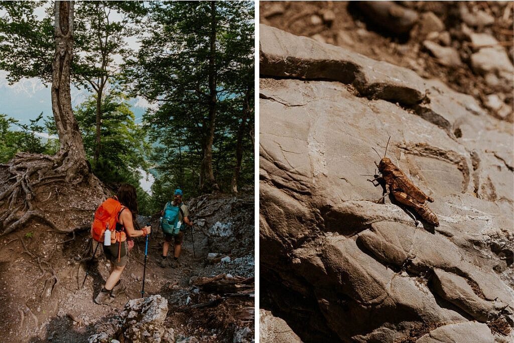 Peaks of the Balkan Trail Theth - Valbona 16