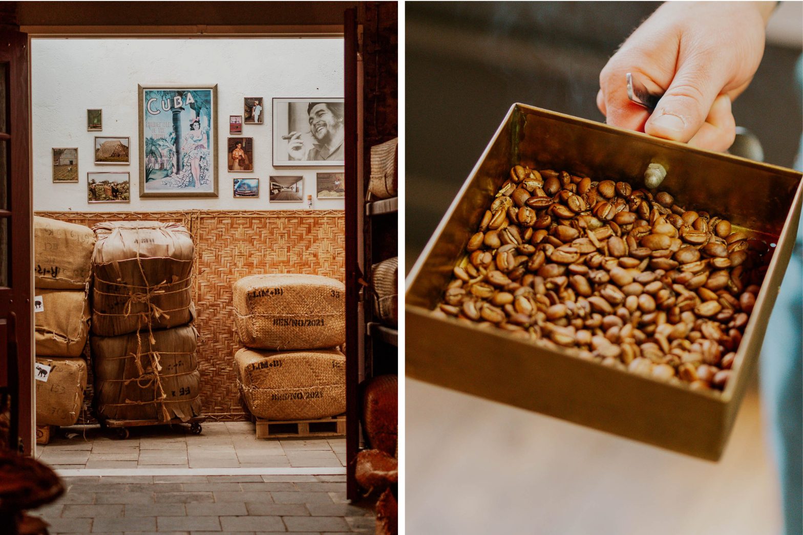 De Eenhoorn & De Olifant Kampen 4