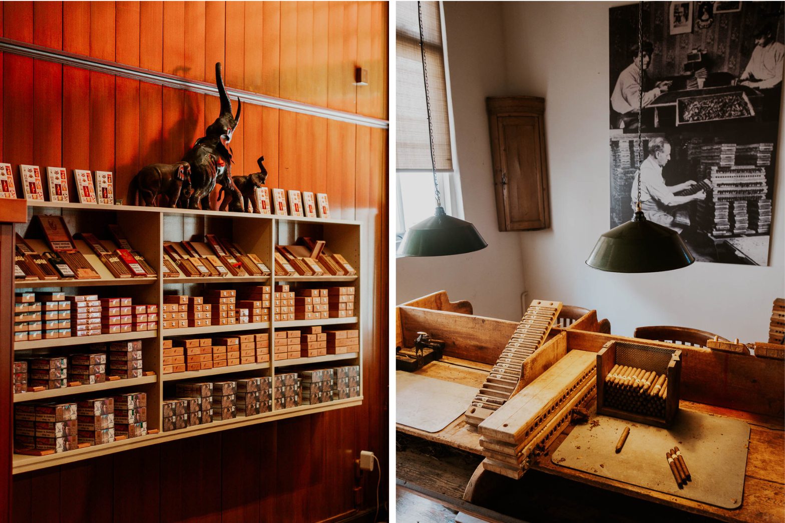 De Eenhoorn & De Olifant Kampen 5