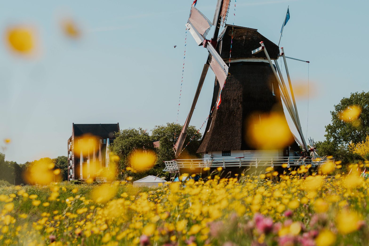 Städtetrip Kampen Radtour Zalk 3