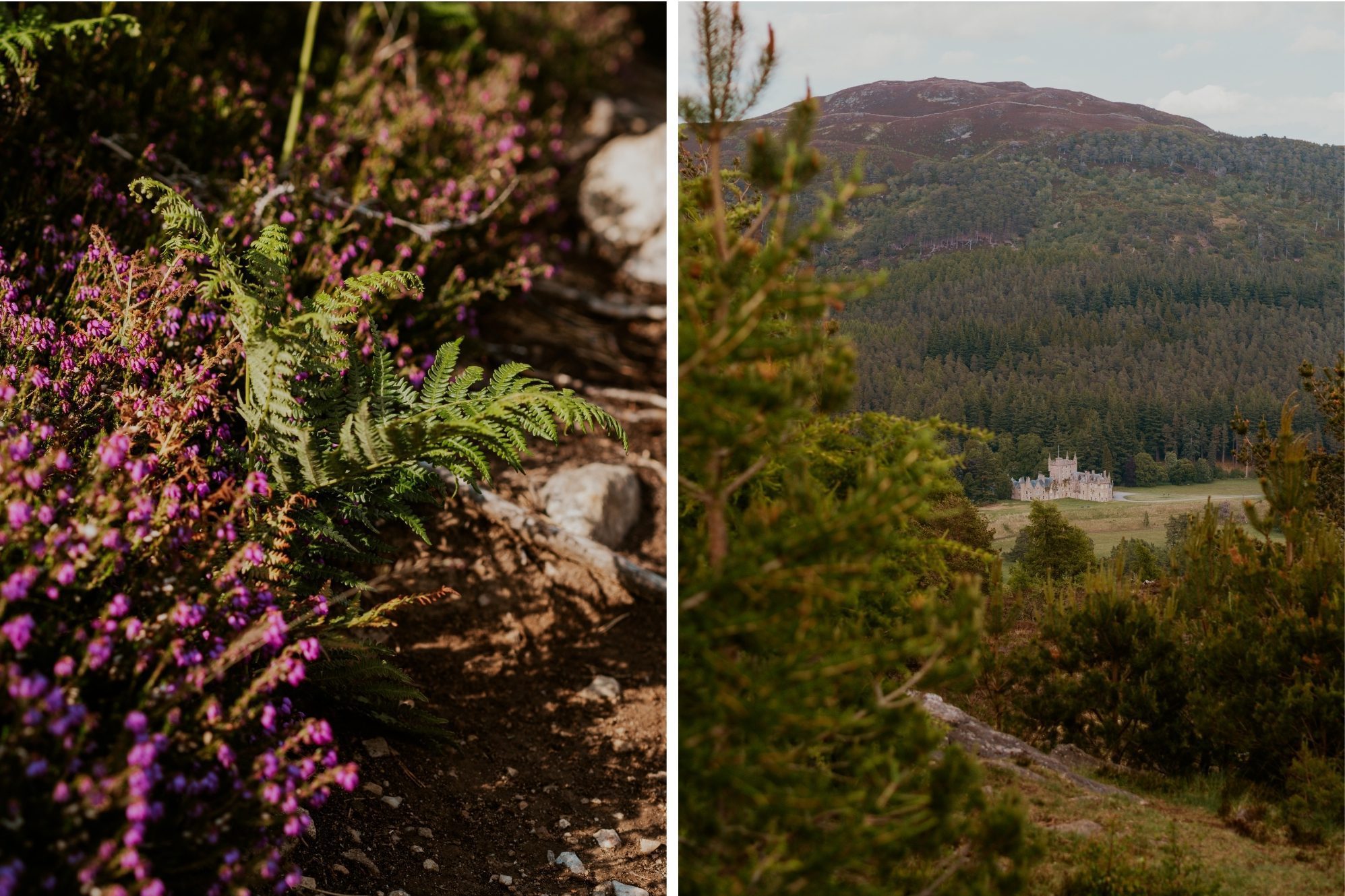 Braemar Wanderung Cairngorms 0