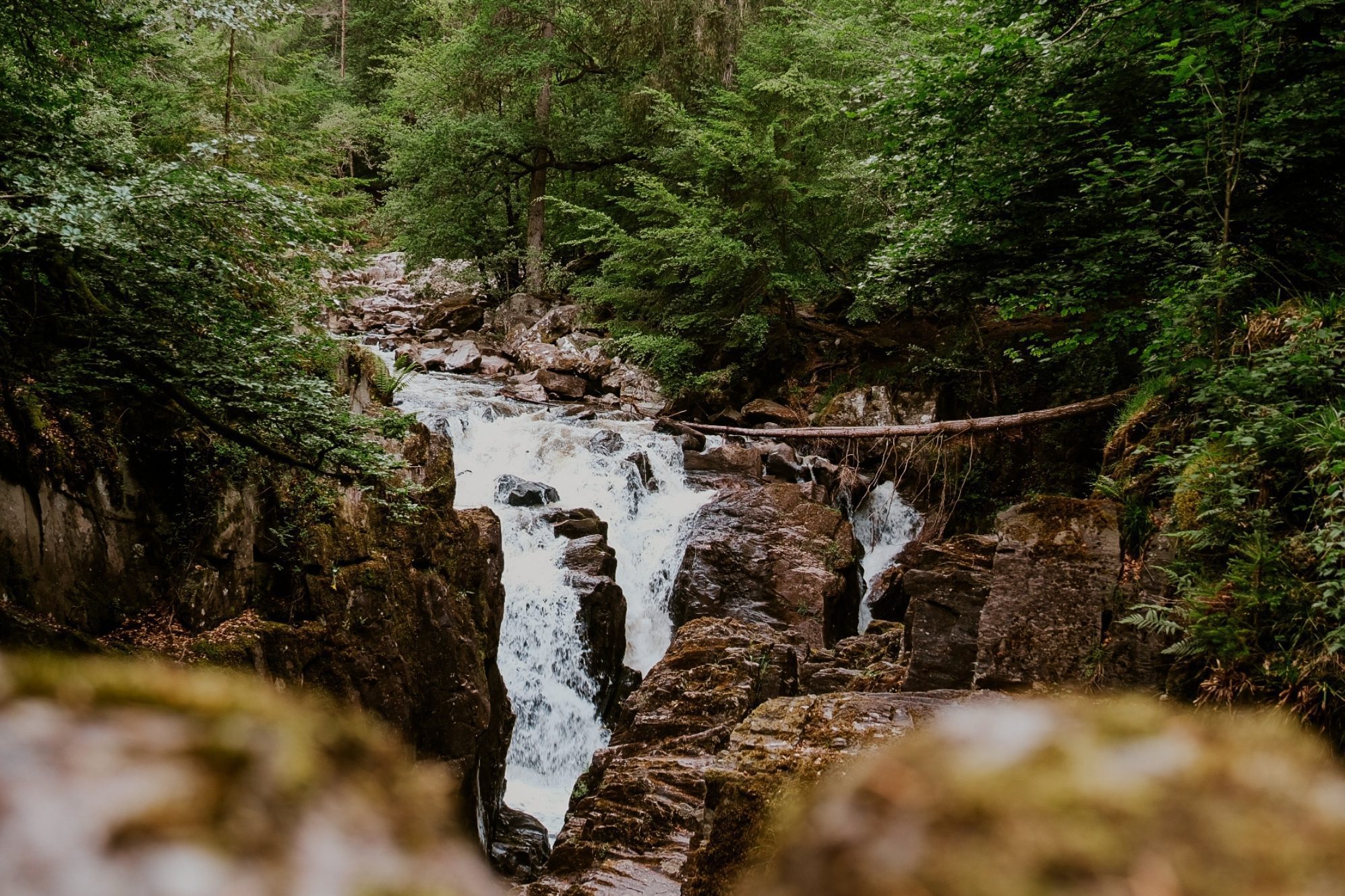 Dunkeld The Hermitage 20