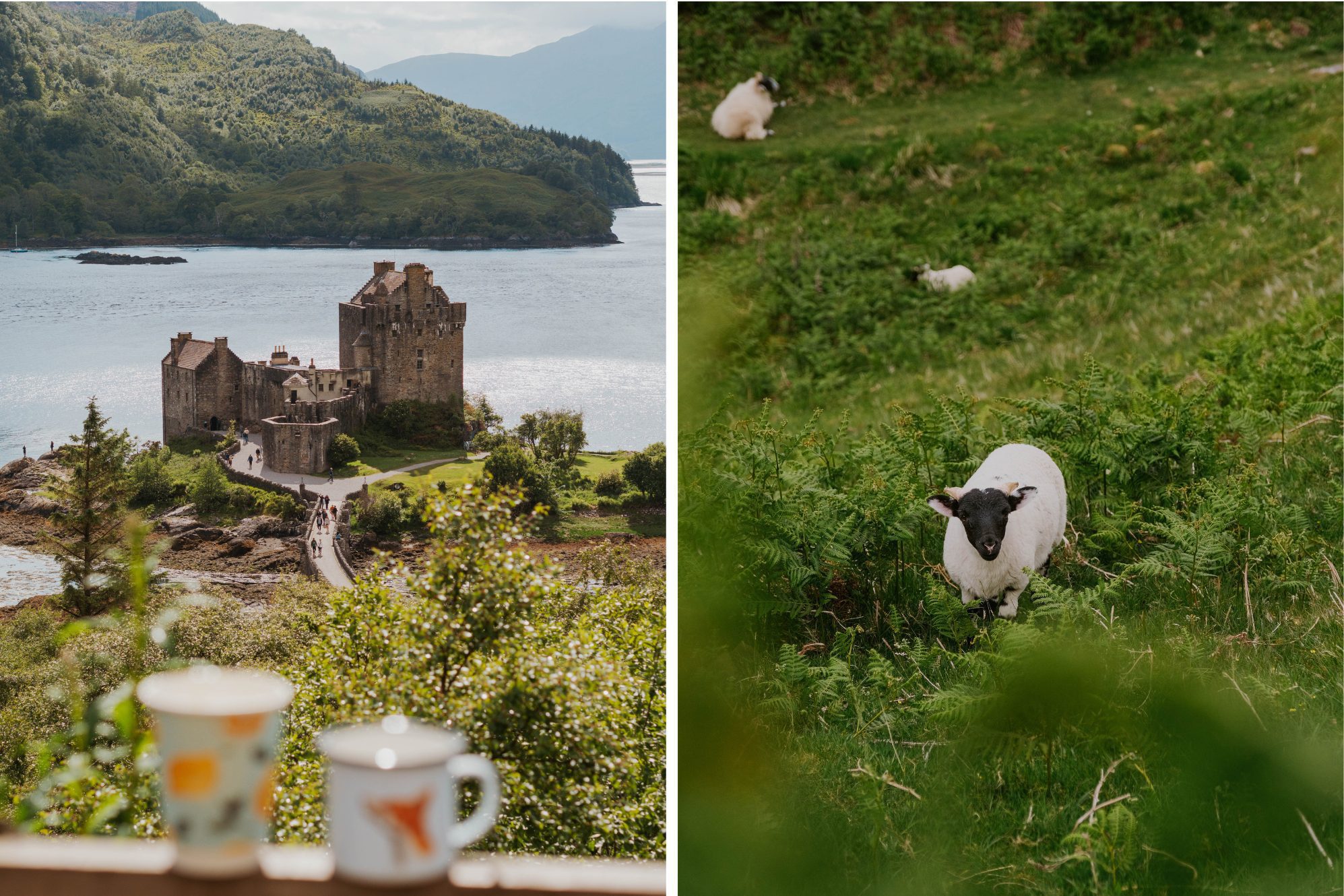 Eilean Donan Castle Schottland Roadtrip