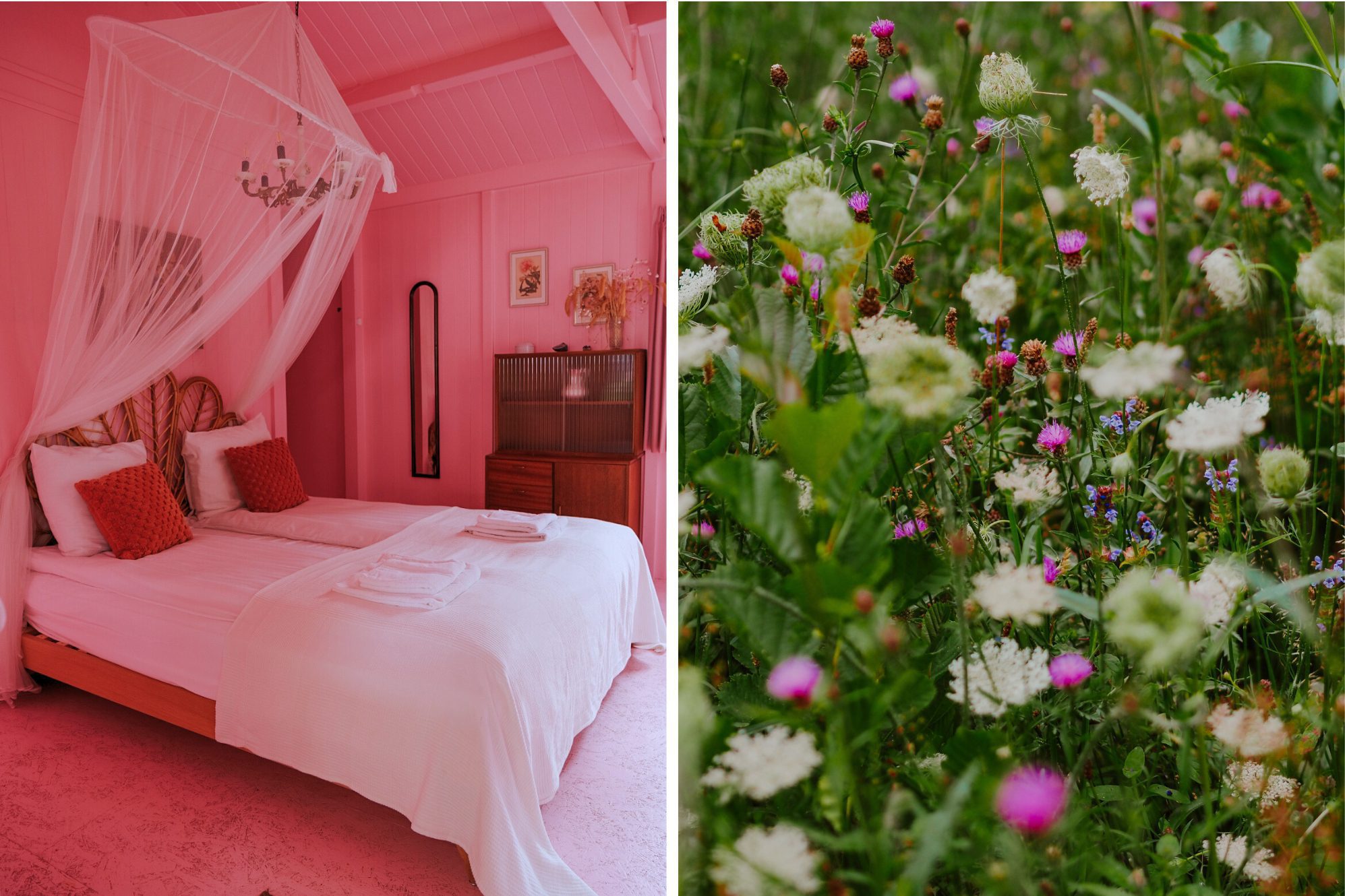 Die pinke "Luxe kamer" war der absolute Knaller und wir haben uns dort sehr wohlgefühlt.