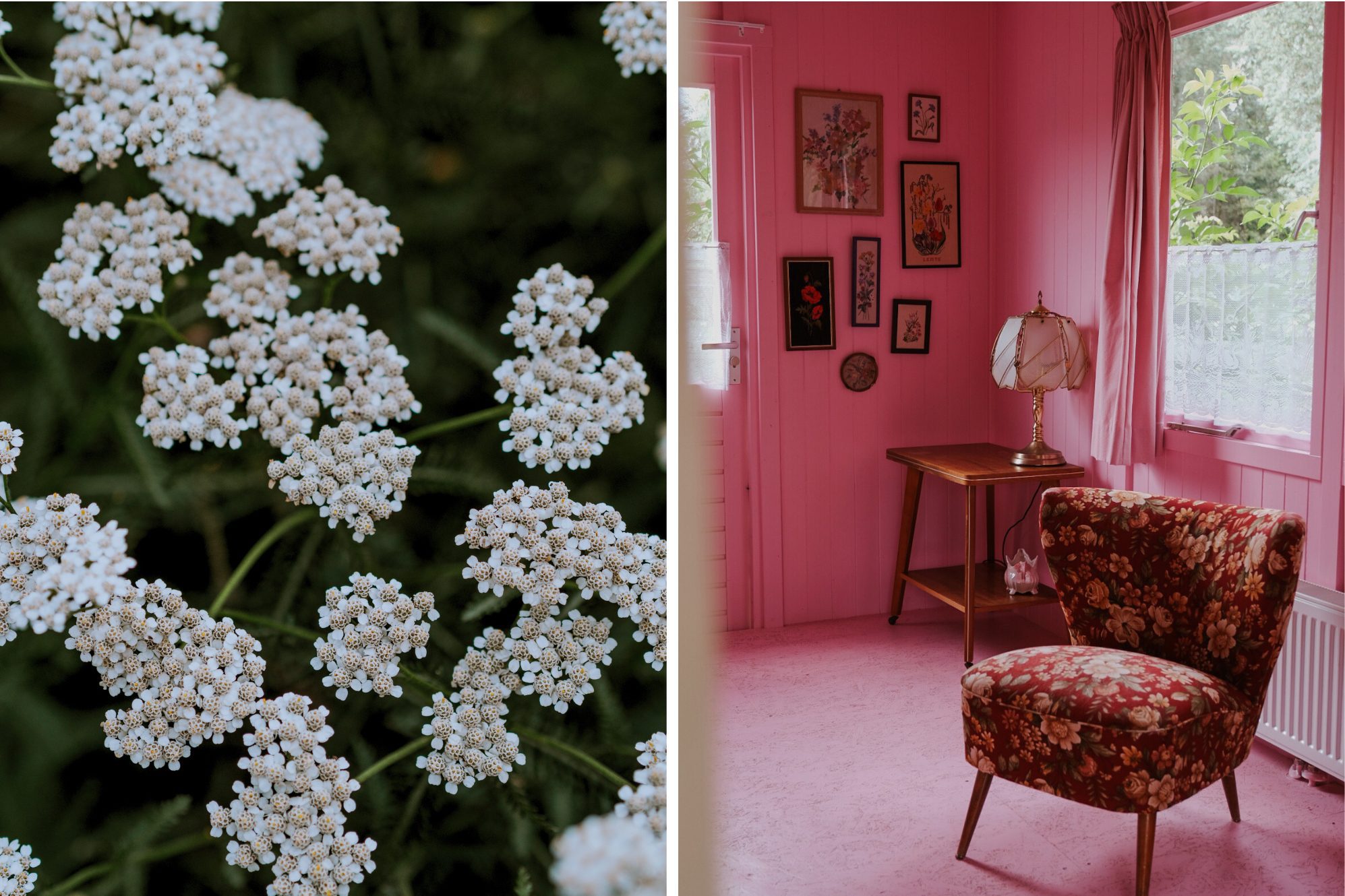 Die pinke "Luxe kamer" war der absolute Knaller und wir haben uns dort sehr wohlgefühlt.