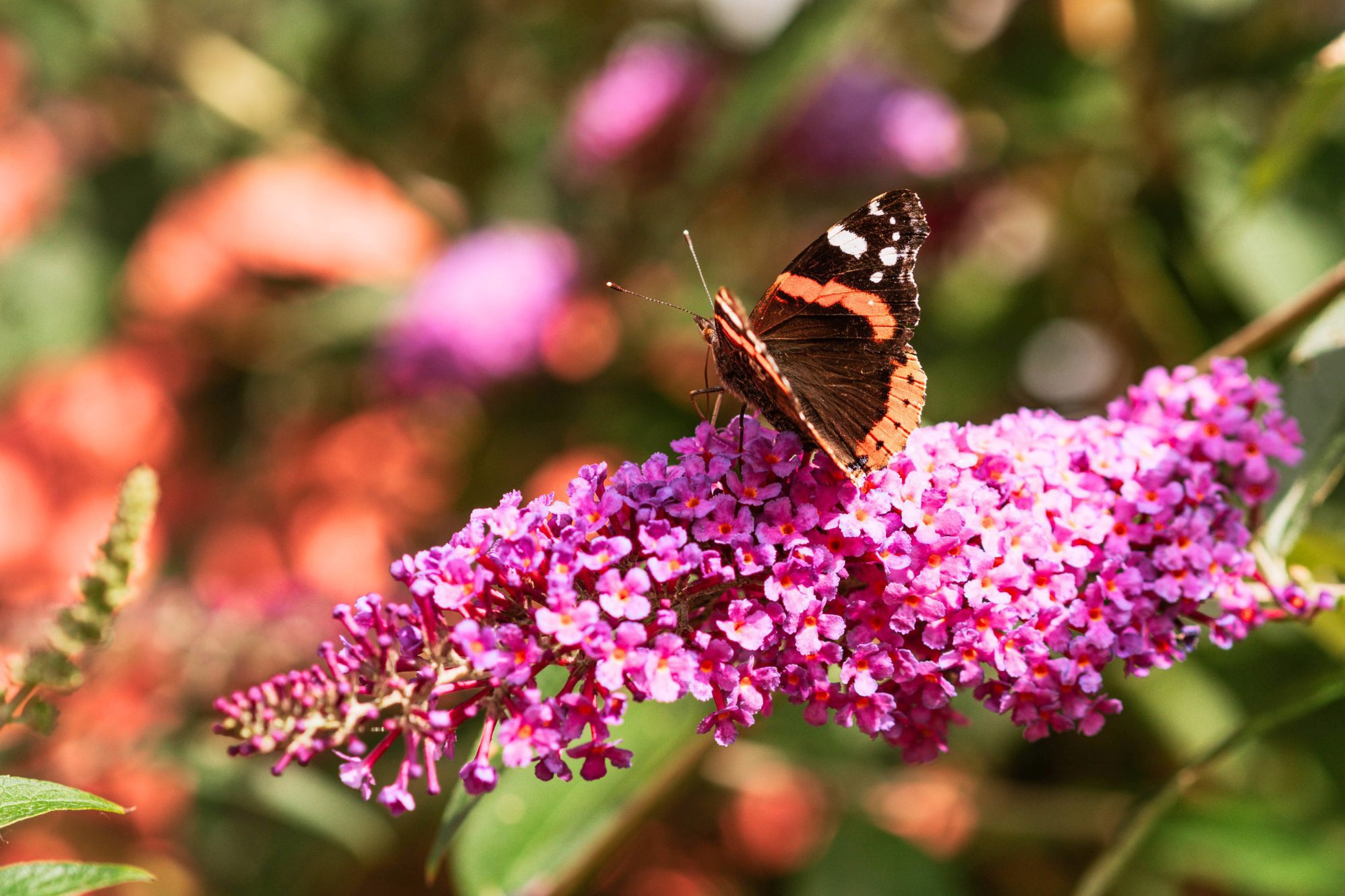 Tuinhotel Tralala Urlaub Vinkeveense Plassen Camping bei Amsterdam00004