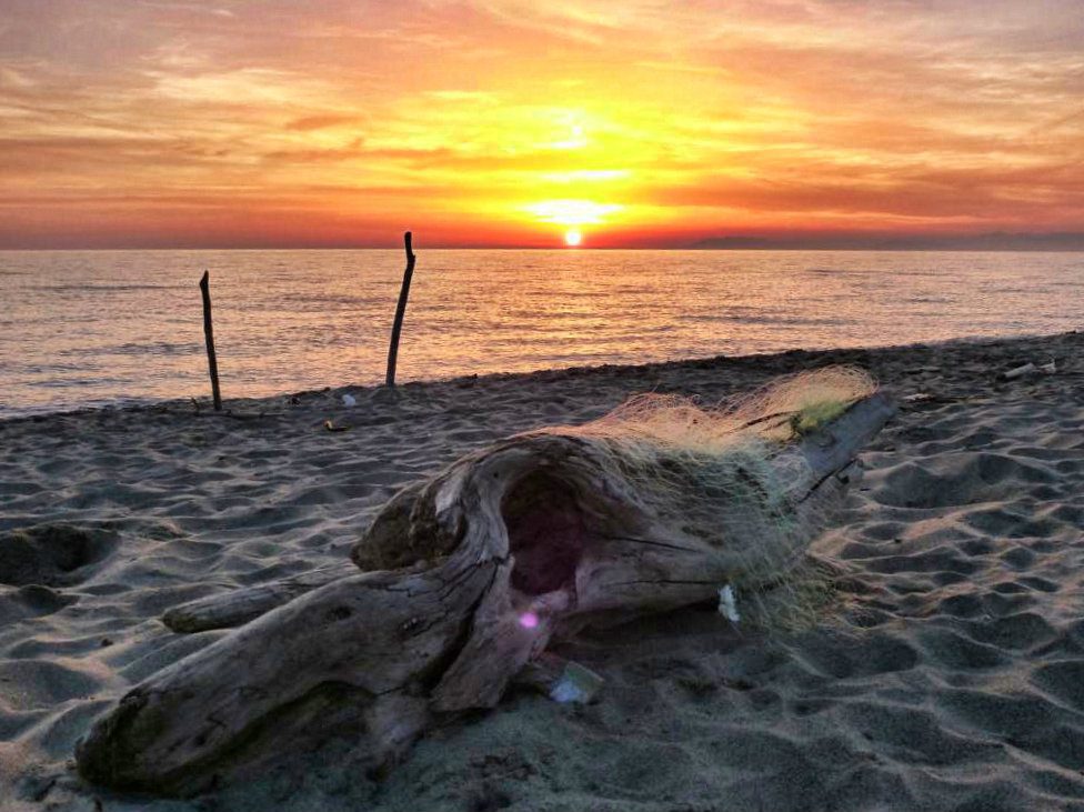 Insider-Tipps für Pisa