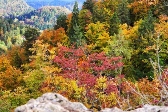 Kurzurlaub Slowenien