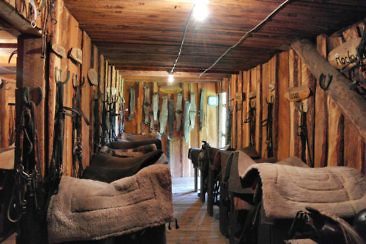 Ranchurlaub in Kanadas Cowboy Country