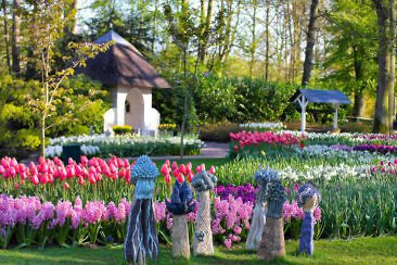 Tulpenblüte in Holland - Keukenhof