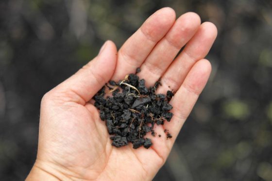 6 Tipps für einen Sizilien Kurztrip in der Nebensaison