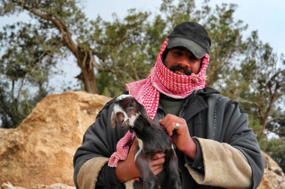 Jordanien Highlights Das musst Du gesehen haben!