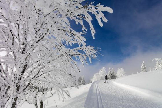 Das perfekte Adventswochenende in Baden-Württemberg