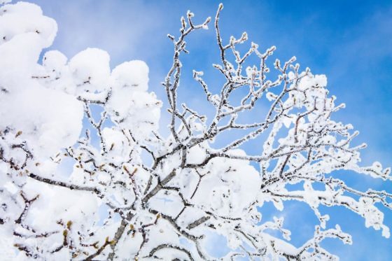 Das perfekte Adventswochenende in Baden-Württemberg