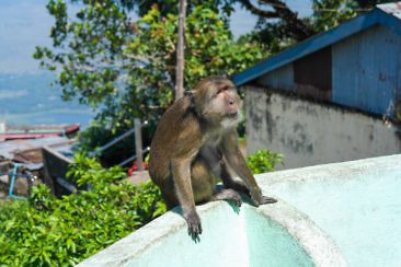 Tipps für Hpa-An - Mount Zwekabin