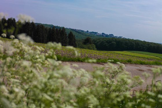 Aktivurlaub in Luxemburg
