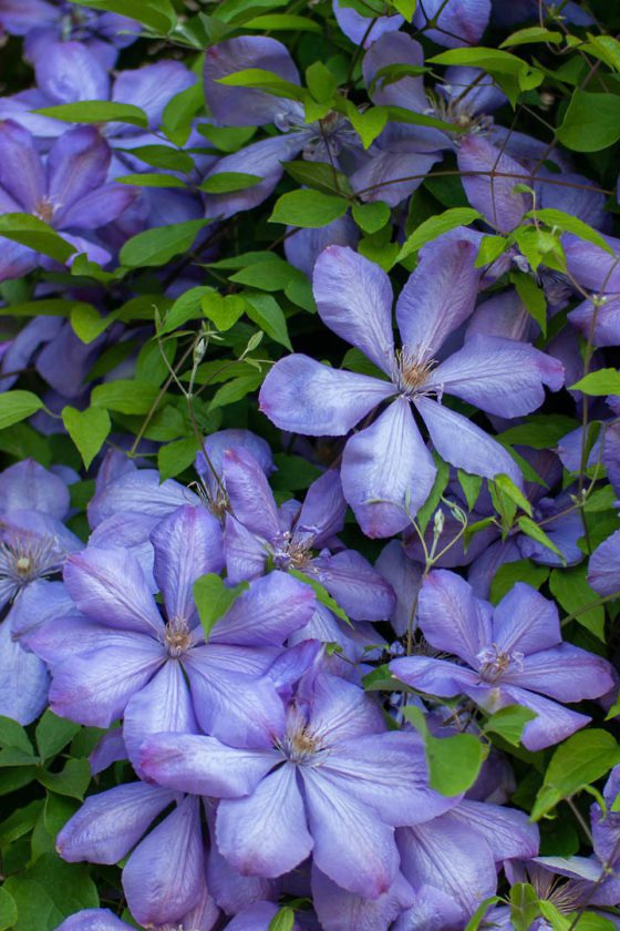 Aktivurlaub in Luxemburg