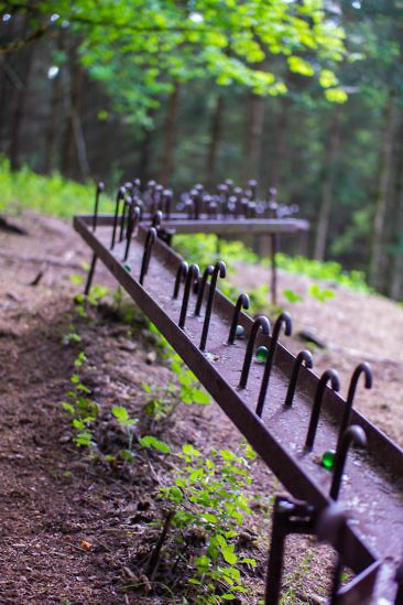 Aktivurlaub in Luxemburg