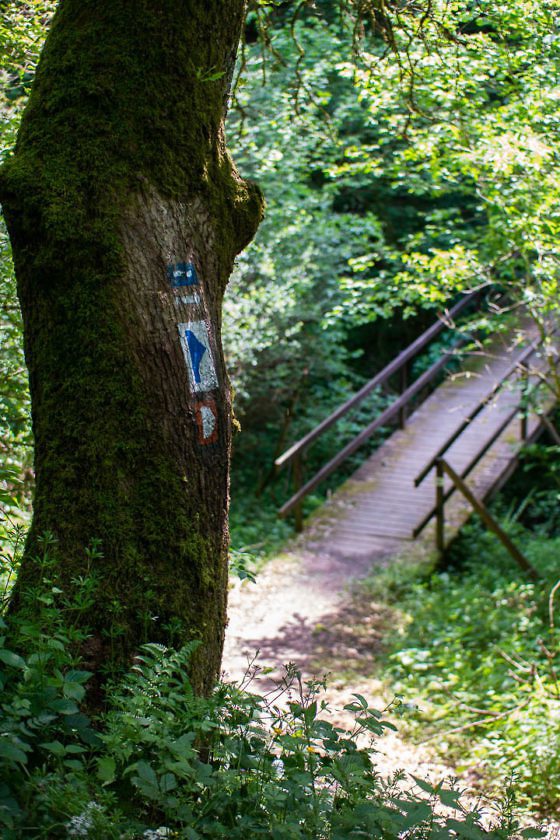 Aktivurlaub in Luxemburg