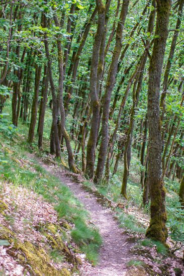 Aktivurlaub in Luxemburg