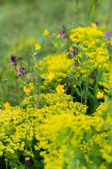 Aktivurlaub in Luxemburg