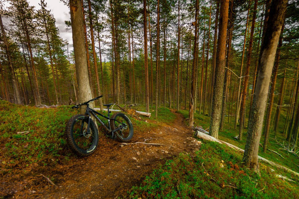 Indian Summer in Lappland - Aktivurlaub im herbstlichen Lappland - Mountainbiken im Hossa Nationalpark