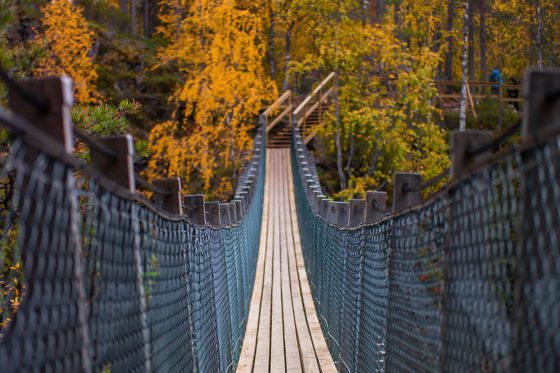 Indian Summer in Lappland - Aktivurlaub im herbstlichen Lappland - Oulanka Nationalpark