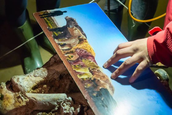 Wanderparadies Grüner Karst: Ausflugsziele & Tipps für Sloweniens Süden