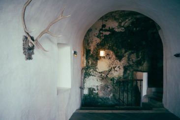 Wanderparadies Grüner Karst Ausflugsziele & Tipps für Sloweniens Süden