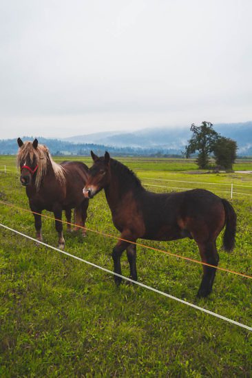 Wanderparadies Grüner Karst Ausflugsziele & Tipps für Sloweniens Süden